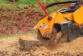 Professional Tree Care in Rimersburg, PA