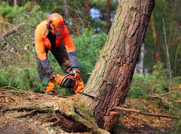Best Lawn Watering Services  in Rimersburg, PA