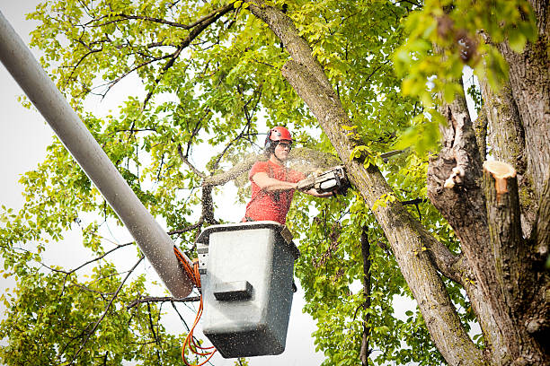 Mulching Services in Rimersburg, PA